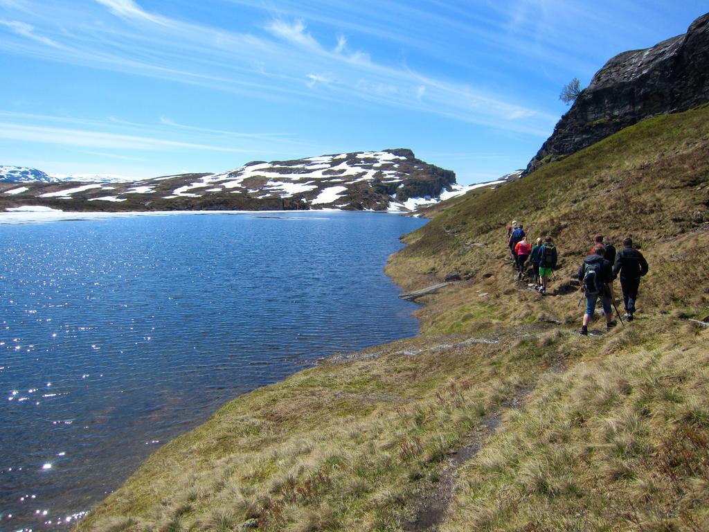 Skysstasjonen Cottages Røldal Zewnętrze zdjęcie