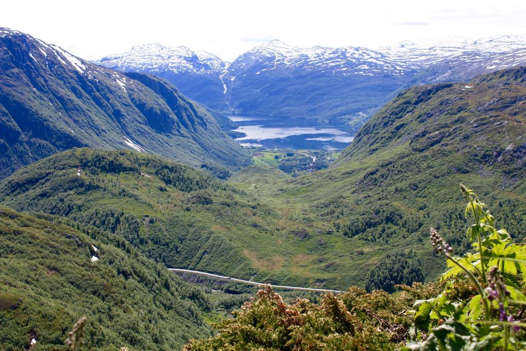 Skysstasjonen Cottages Røldal Zewnętrze zdjęcie